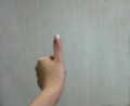 別ウインドウで開きます