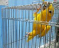 別ウインドウで開きます