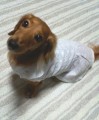 別ウインドウで開きます