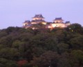 別ウインドウで開きます
