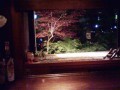別ウインドウで開きます