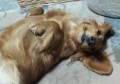 別ウインドウで開きます