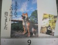別ウインドウで開きます