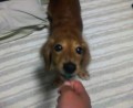 別ウインドウで開きます