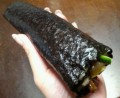 別ウインドウで開きます