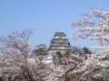 別ウインドウで開きます
