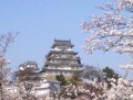 別ウインドウで開きます