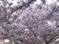 別ウインドウで開きます